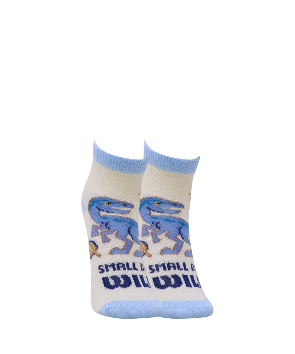 5pk Jurassic Daino Design Socks