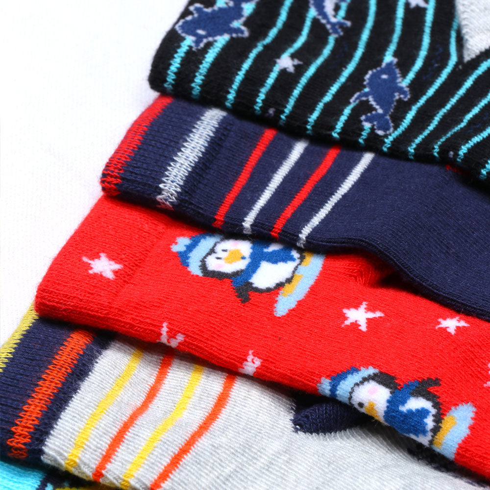 5PK Dinosaur & Winter-Themed Designs Socks