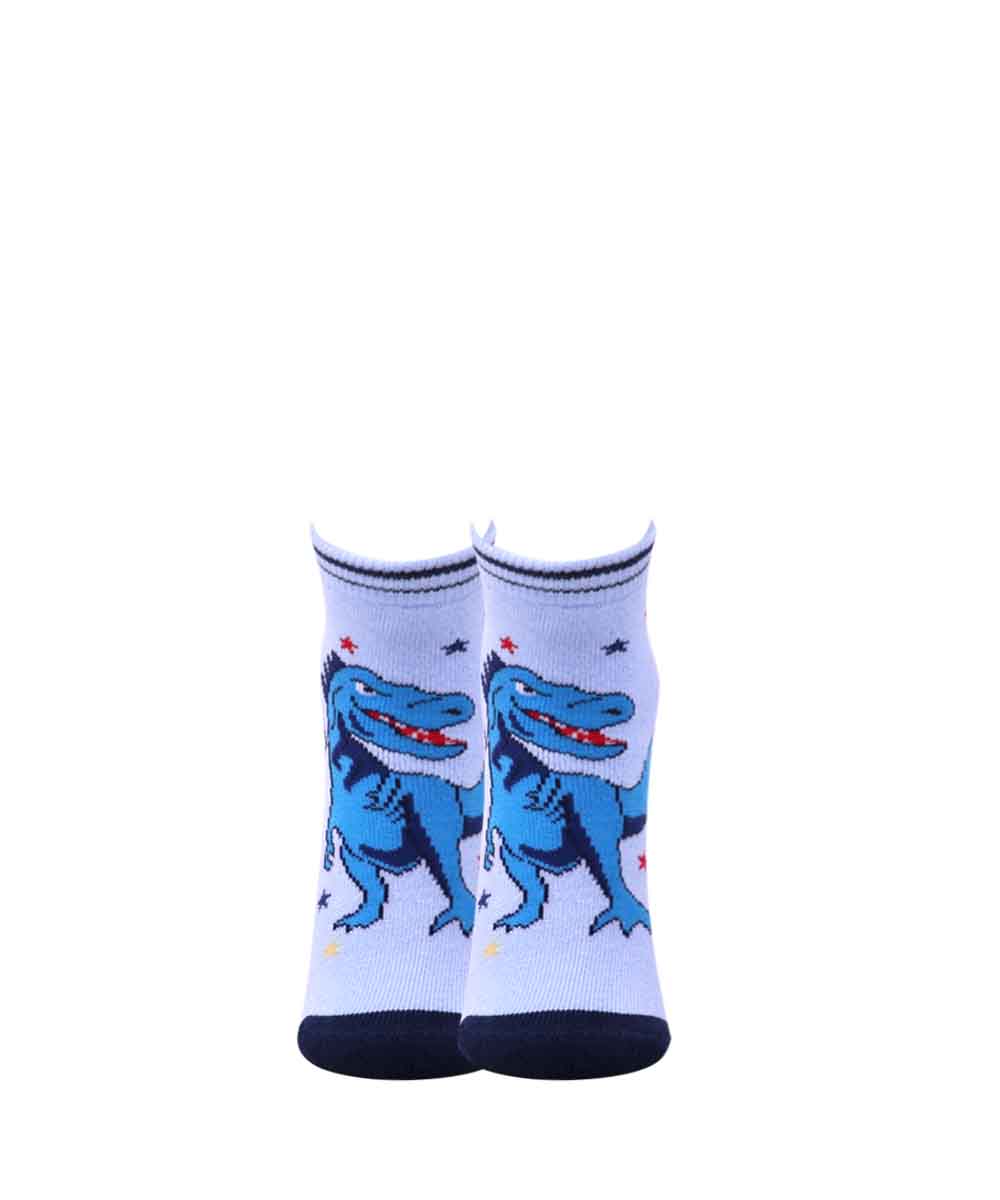 3pk Dinosaur Design Terry Socks